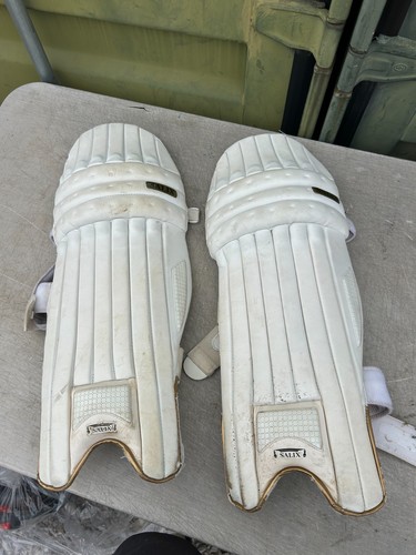 Salix performance cricket - salix,