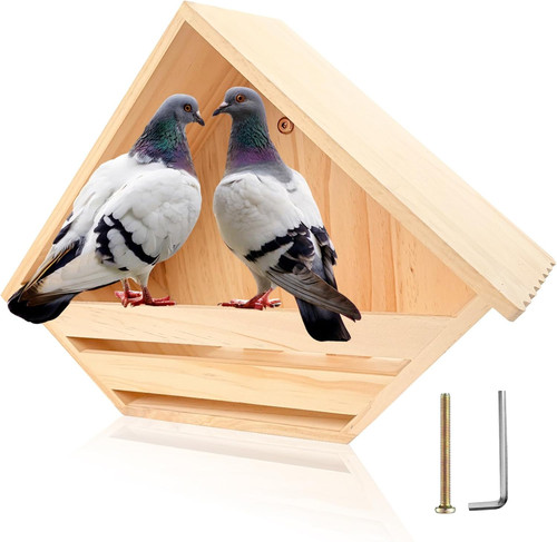 Cedar dove nesting - dove,
