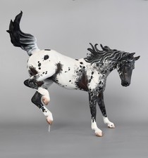 Brand new appaloosa  "Hal"