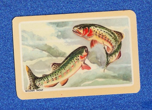 Vintage woolworths fish - fish, swap