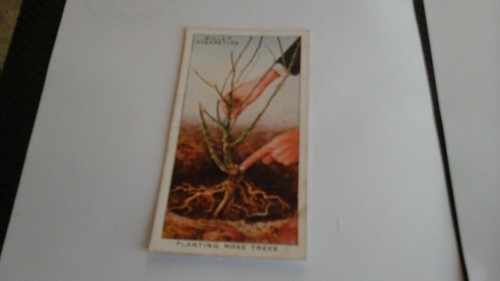 Wills garden hints - wills,