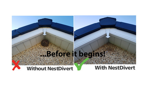 Flat nestdivert bird nest - flat, nestdivert-