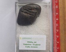 Boxed  Piece Of Genuine Whitby