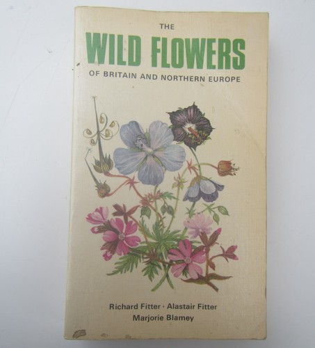 Vintage the wild - vintage, flowers