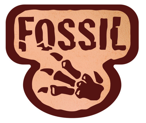 Pokémon fossil singles - pokémon,