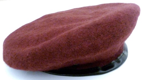 Army para beret - para,