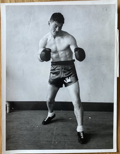 The great bruce woodcock - woodcock, in