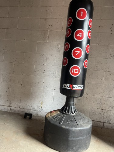 Gallant 5ft free - gallant, standing