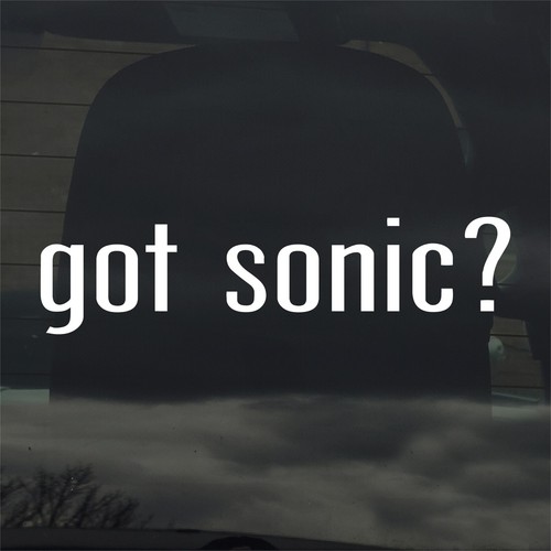 Got sonic custom vinyl - sonic?,