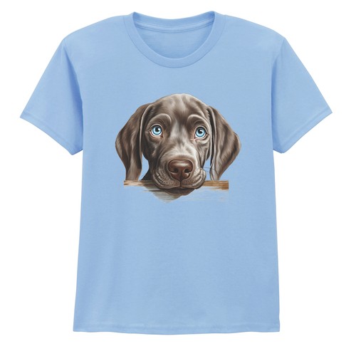 Weimaraner puppy dogs animals - weimaraner,