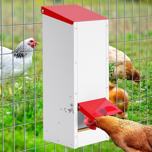 Muyirted chicken feeder - muyirted,