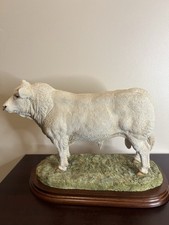 Border Fine Arts Charolais