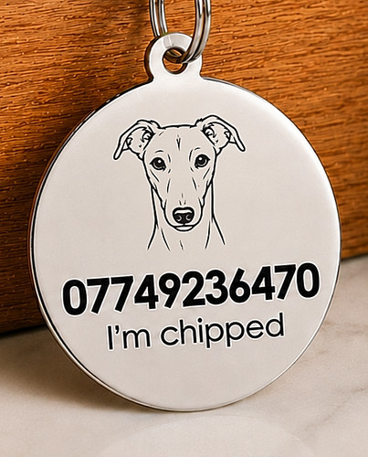 Personalised greyhound dog - greyhound,