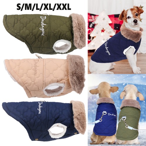 Warm pet dog - warm,