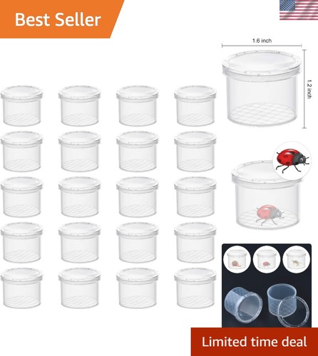 Educational insect cage 20 - cage,