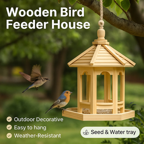 Hanging bird feeder - bird,