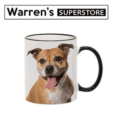 Staffordshire Bull Terrier Dog