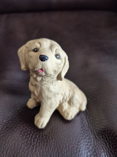 Golden labrador retriever - golden,