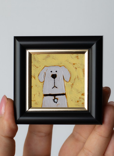 Tiny white labrador - tiny,