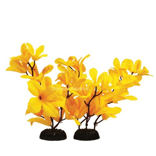 Yellow rotala silk - rotala,