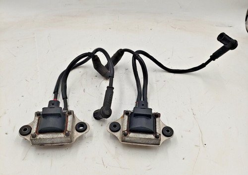 Pair ignition coils - pair, moto