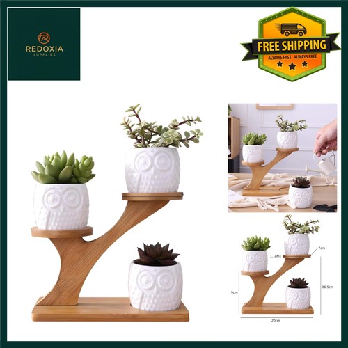 3pack succulent pots - 3pack, pots,owl