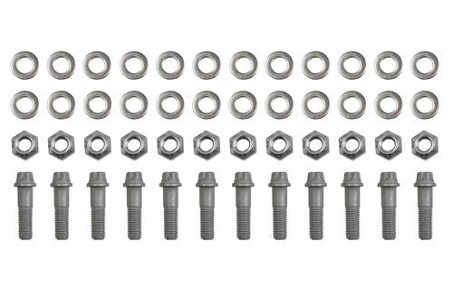 Racing bolt brake disc - racing, 12