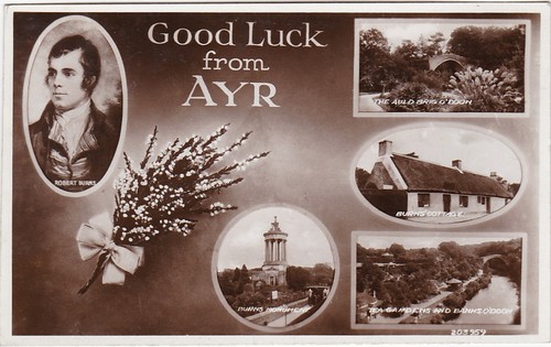 Robert burns multiview ayr - robert,