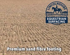 Menage Arena Surface Great For