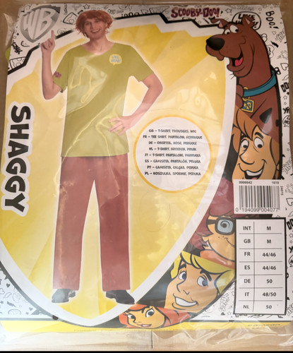 Shaggy costume scooby doo - shaggy,