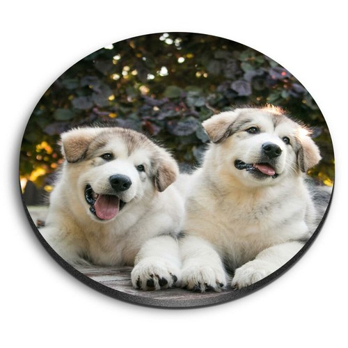 Round mdf magnets alaskan - -,