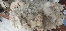 1.5 Kg Ave 5" Staple Raw Sheep