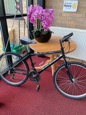 Raleigh Ogre-15 MAX Bicycle