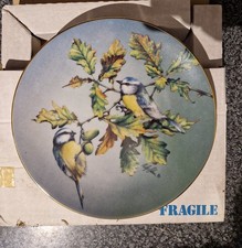 Blue Tit Plate From Colourful