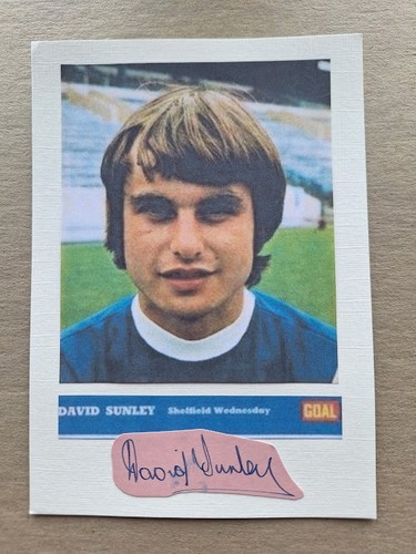 David sunley sheffield - sunley,