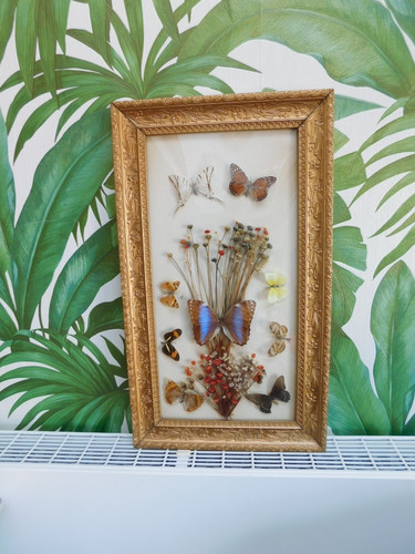 Glazed montage butterflies - glazed,