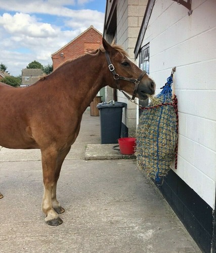 Hay net large - 8kg,