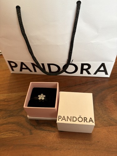 Authentic pandora silver charm - authentic,