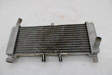 Radiator Water Cooler Watercooler Radiator Aprilia RS 125 ABS E5 21- #R5580