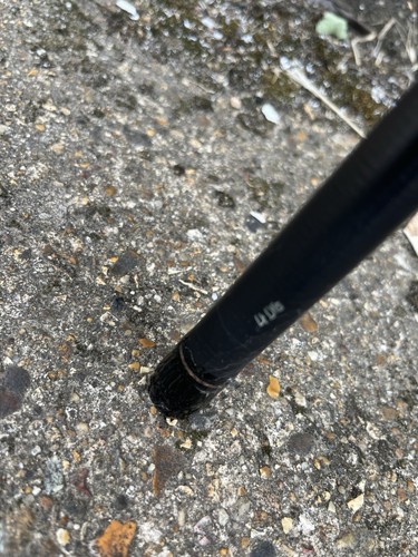 Carp kinetics questor - carp,