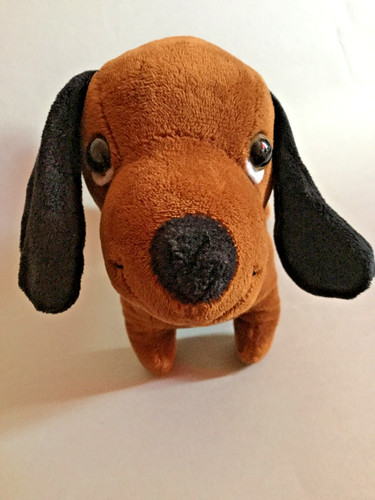 Haunted dog doll - sausij, boy