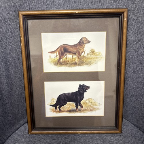 Framed and mounted prints - framed,