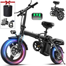 24 MPH Adult Electric Bike