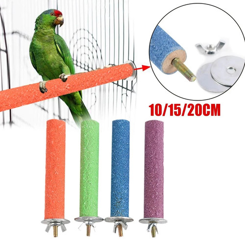 Bird perch beak claw - –,