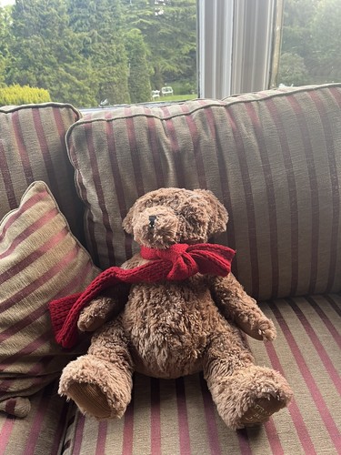 Fraser bear 2002 - fraser,