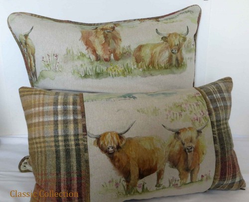 Voyage highland cattle piped - voyage, "highland
