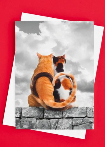 Cat greeting card black - black, &