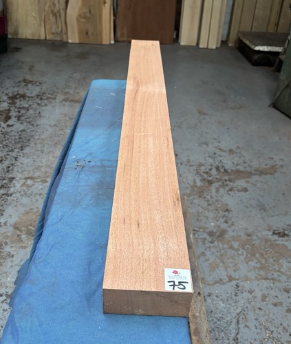 Khaya mahogany bass guitar - khaya,
