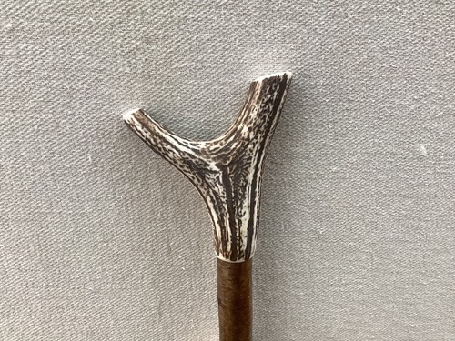 Red deer antler walking hazel - red,