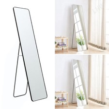 Extra Long Door Mirror